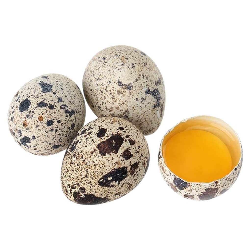[502161/5H0122] HUEVOS FRESCOS DE CORDORNIZ 新鲜鹌鹑蛋 12u/24