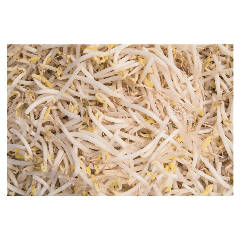 [200453/2B0004] BROTES DE SOJA VERDE  新鲜绿豆芽 4kg