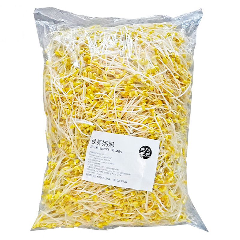 [200459/2B0040] BROTE DE SOJA AMARILLA 5KG 大包黄豆芽