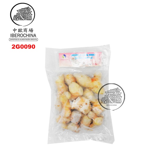 [2G0090] GALANGA CONGELADA 越南冻南姜 500g/20