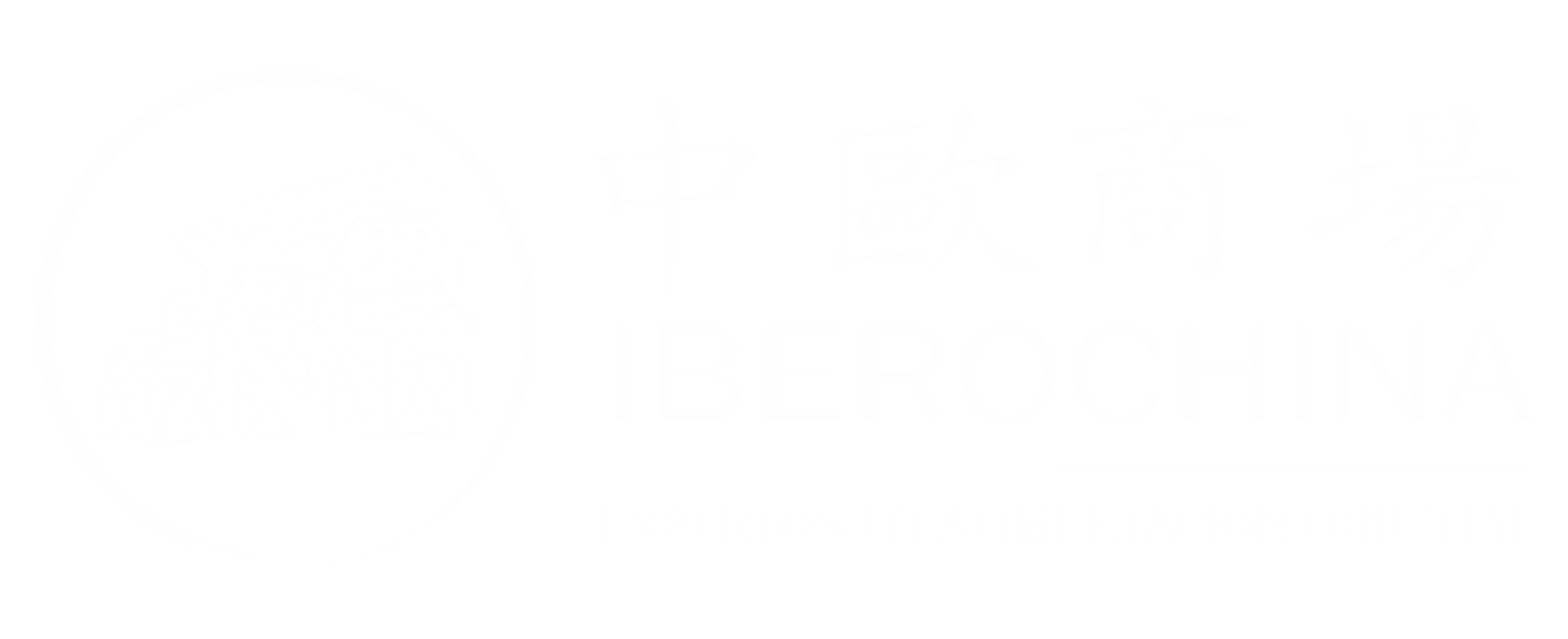 Grupo Iberochina